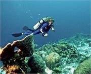 Bonaire 35